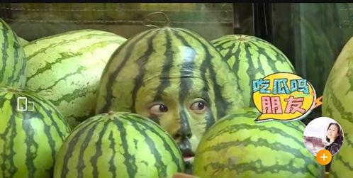 吃瓜大瓜事件 反差,吃瓜大瓜背后的反差世界